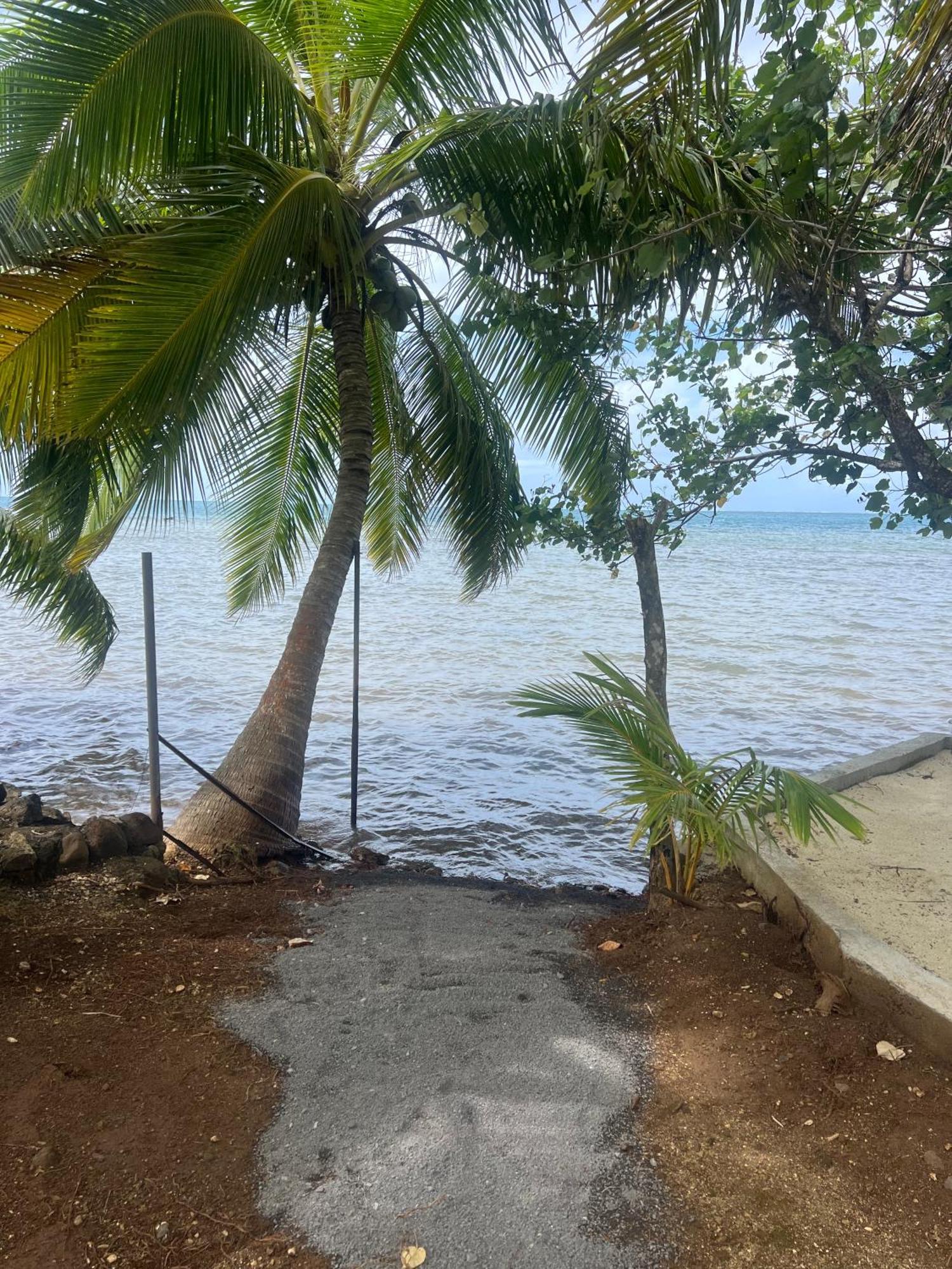 Fare Mama Rota - Au Bord De L'Ocean Villa Taputapuapea Ngoại thất bức ảnh